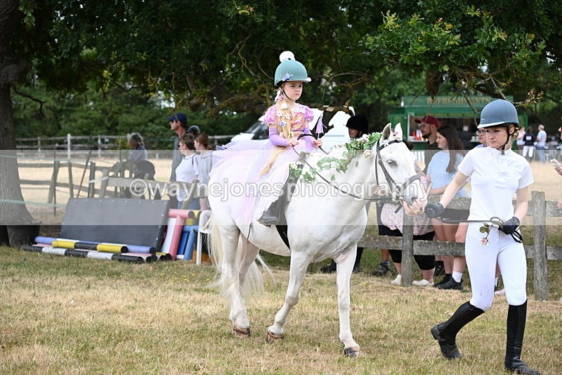 WJ6_4637 - Class 11 Fancy Dress