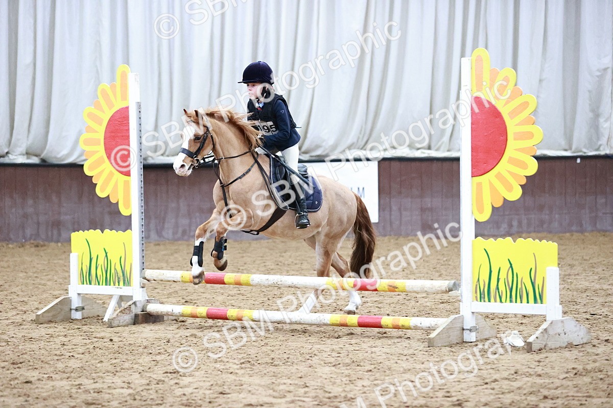 SBM_000420 - Class 2 - 50cm