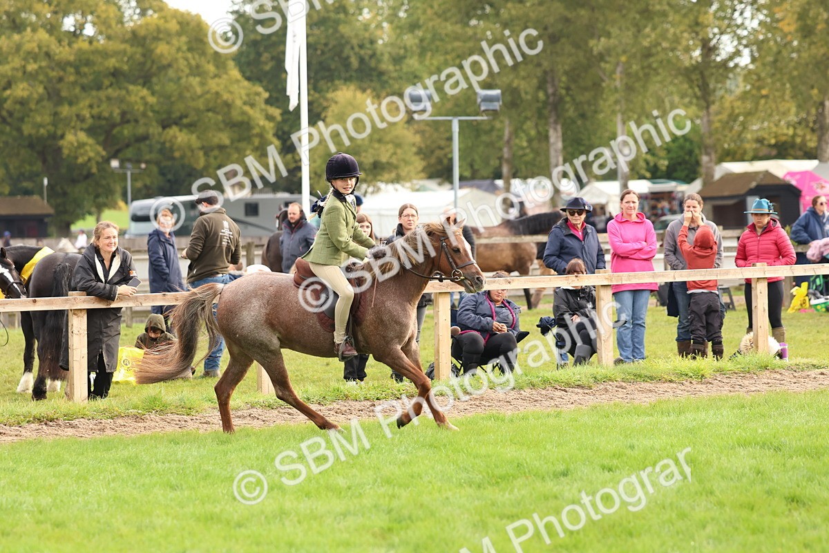 SBM_56679 - S40 - Starters Ridden Showing