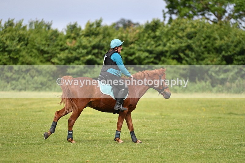 WJ5_2287 - Class 2 40cm