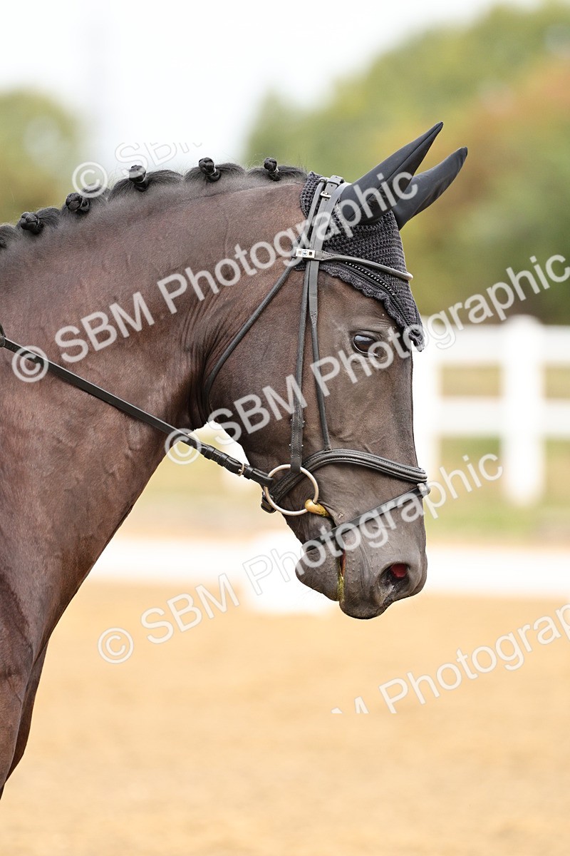 SBM_011437 - Class 1 - Prelim 4