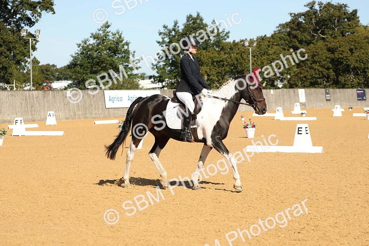 SBM_18740 - D10 - Small Tour Championship - Prelim 2