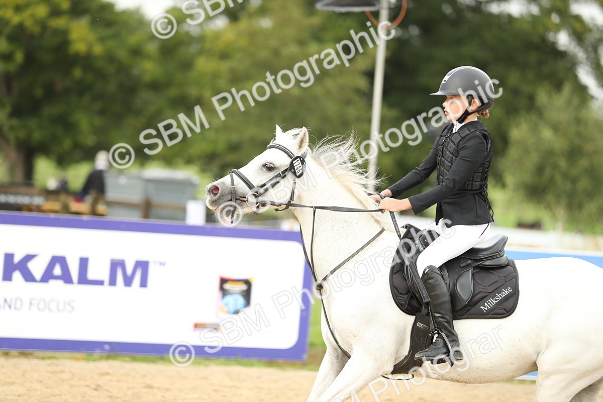 SBM_34211 - J60 Clear Round 50cm