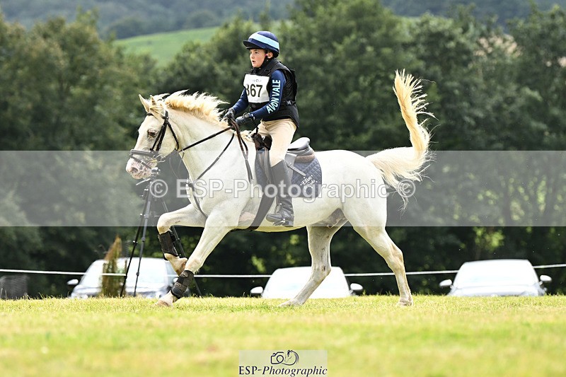 240825X-162153-36743 - 80cm XC 15.30 to 16.30