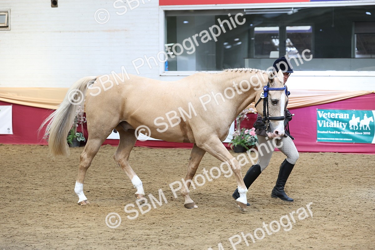 SBM_24095 - Class 905 - Supreme Final - Ridden Veteran