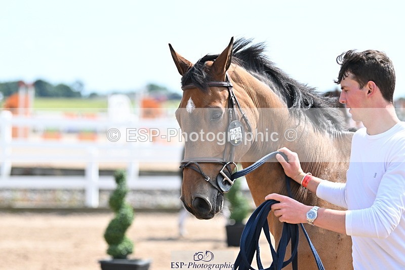 240717A-151704-02717 - Trot Up 3pm to 4pm