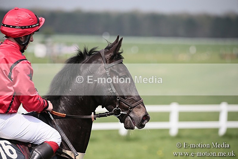PtP 210418 183 - South & West Wilts Point-to-Point Larkhill 21/04/18