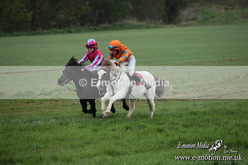 SHETPR 210425 82 - Shetland Ponies Paxford Races 21/04/25