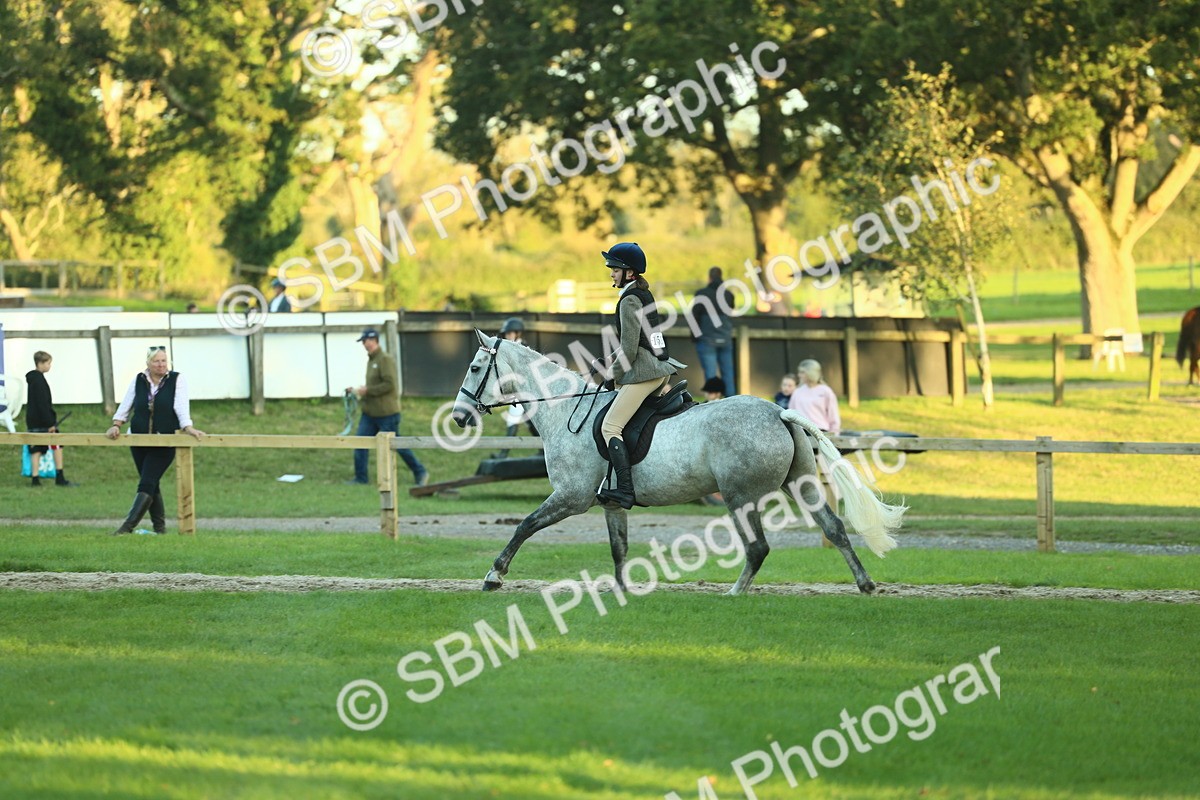 SBM_56481 - S14 - Riding Club Horse
