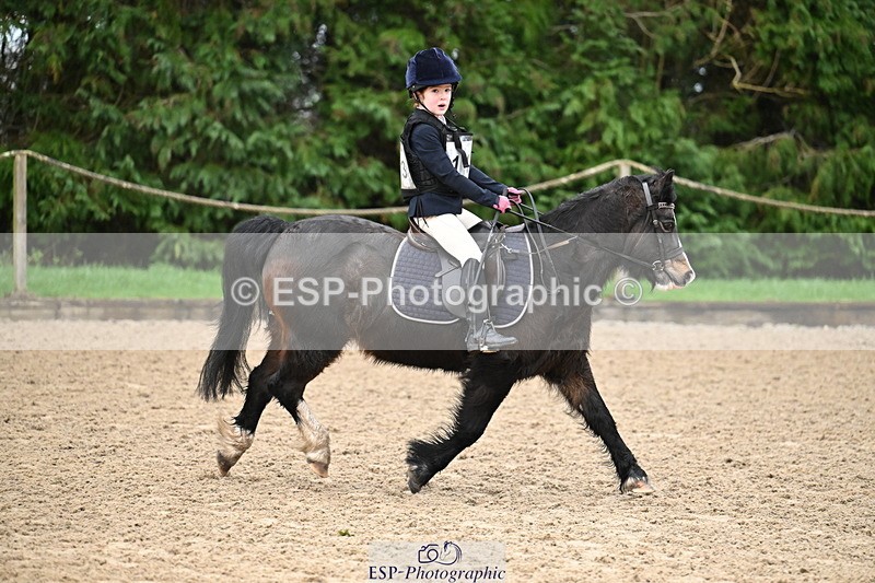 260222A-093941-00181 - 40cm Lead Rein and Assisted