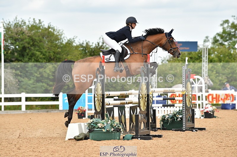 230720A-123300-02579 - Cls 13, 1 Star Bronze 1.10m