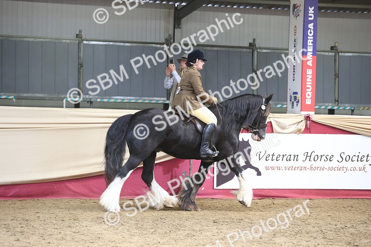 SBM_23717 - class 906 - Supreme Final - Ridden Pre Vet
