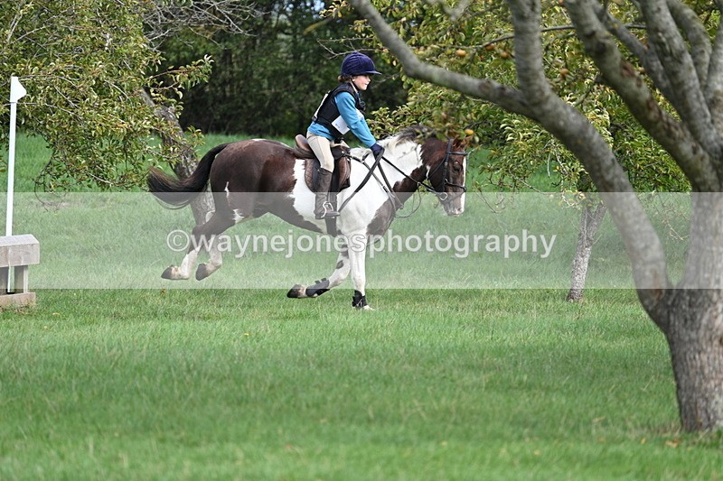 WJ7_8435 - 60cm Pairs