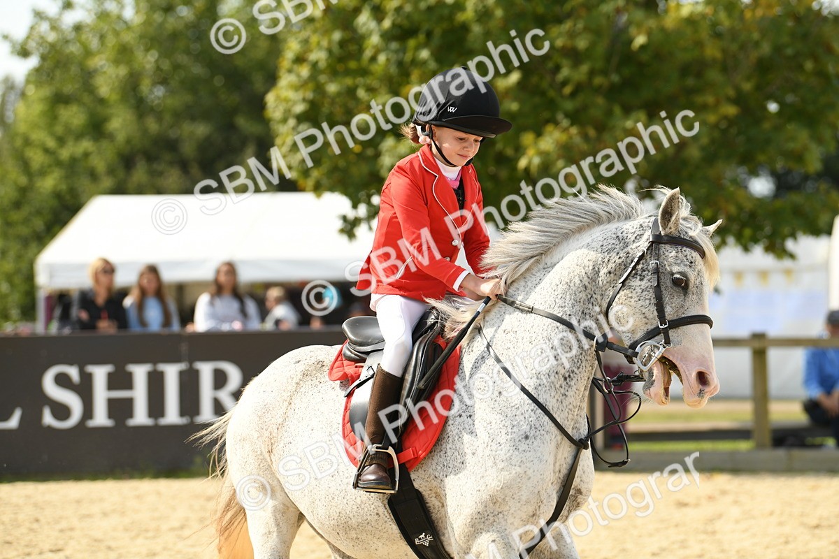 SBM_65123 - J48 - Pairs Jumping Open 70cm & 85cm