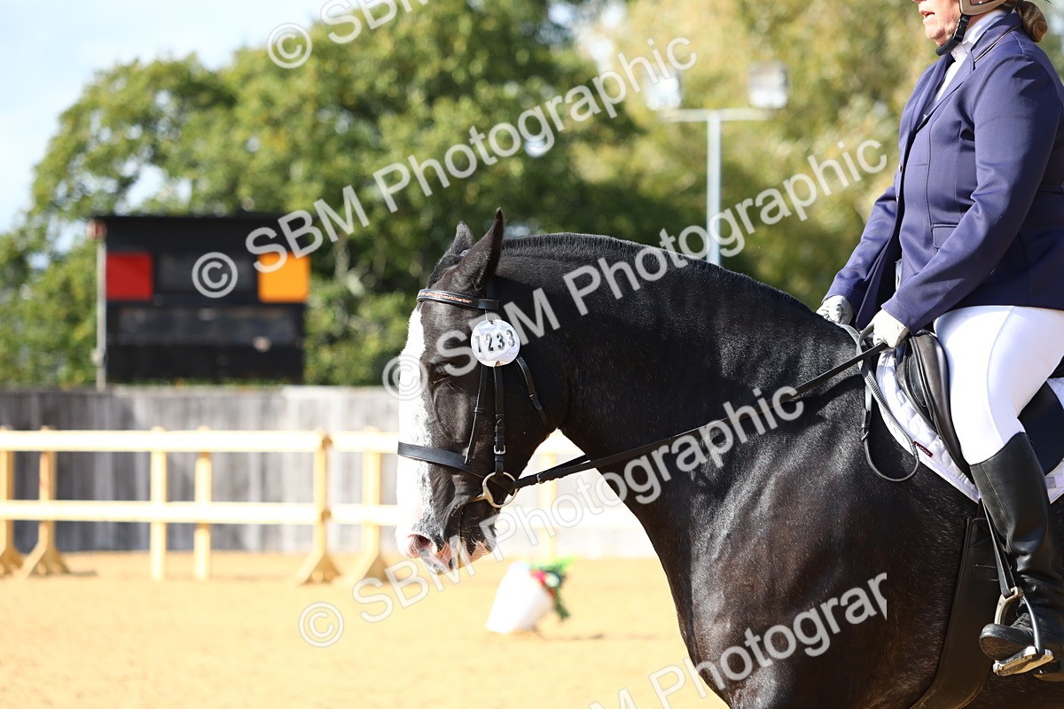 SBM_24507 - D11 - Small Tour Championship Prelim 1