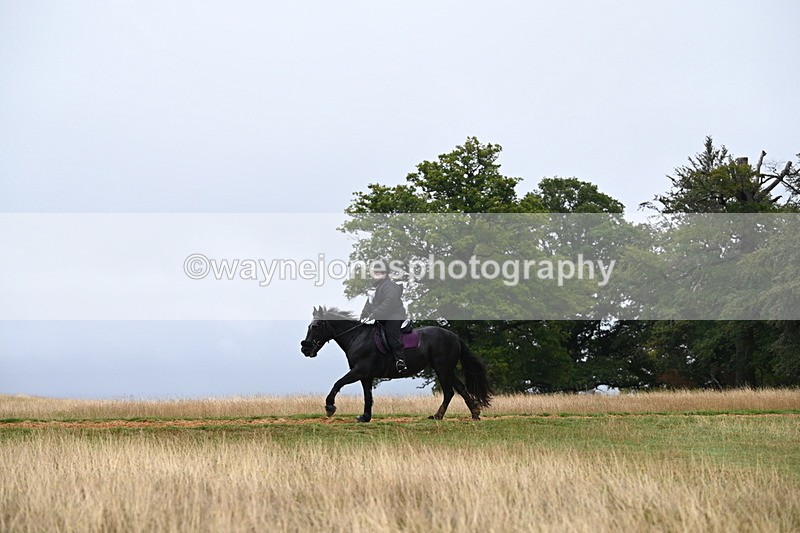 DSC_2095 - Time at Statue 12:13 to 12:32