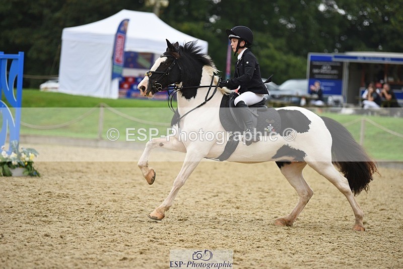 231001-124908-02518 - Cls 2 80cm 12.20 to End