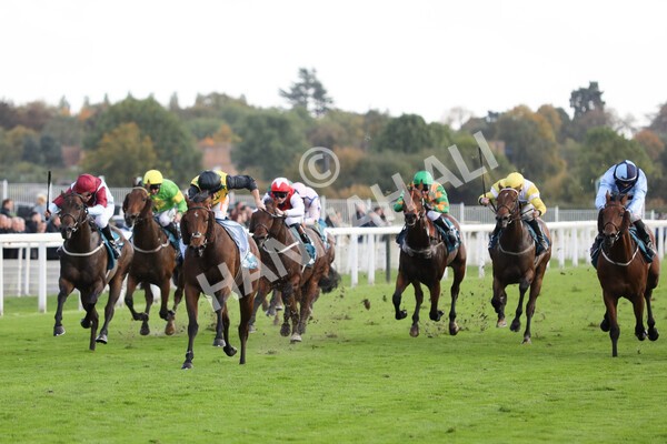 yr07102022r5-17 - Race 5 4.25pm Copper Knight Winningmost Horse Stakes