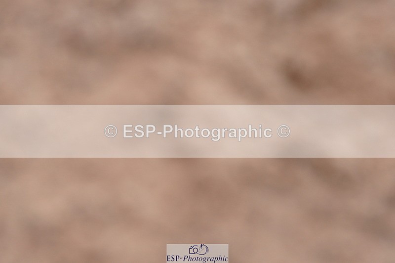 240720A-110516-14259 - Cls 3, 3 Star Small Tour 1.40m