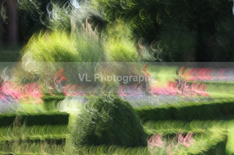 View - ICM