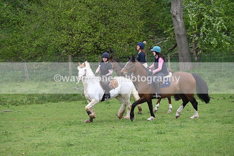 WJ6_3142 - A camera