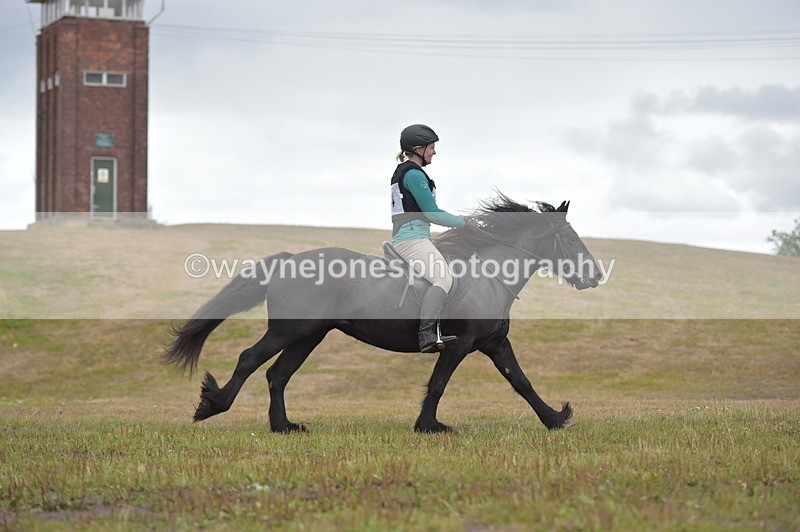 NGP_2779 - XC Time 11:37 to 11:57