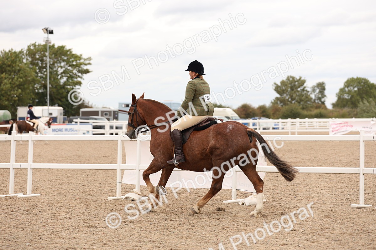 SBM_19564 - Class 215 - Ridden Show cob