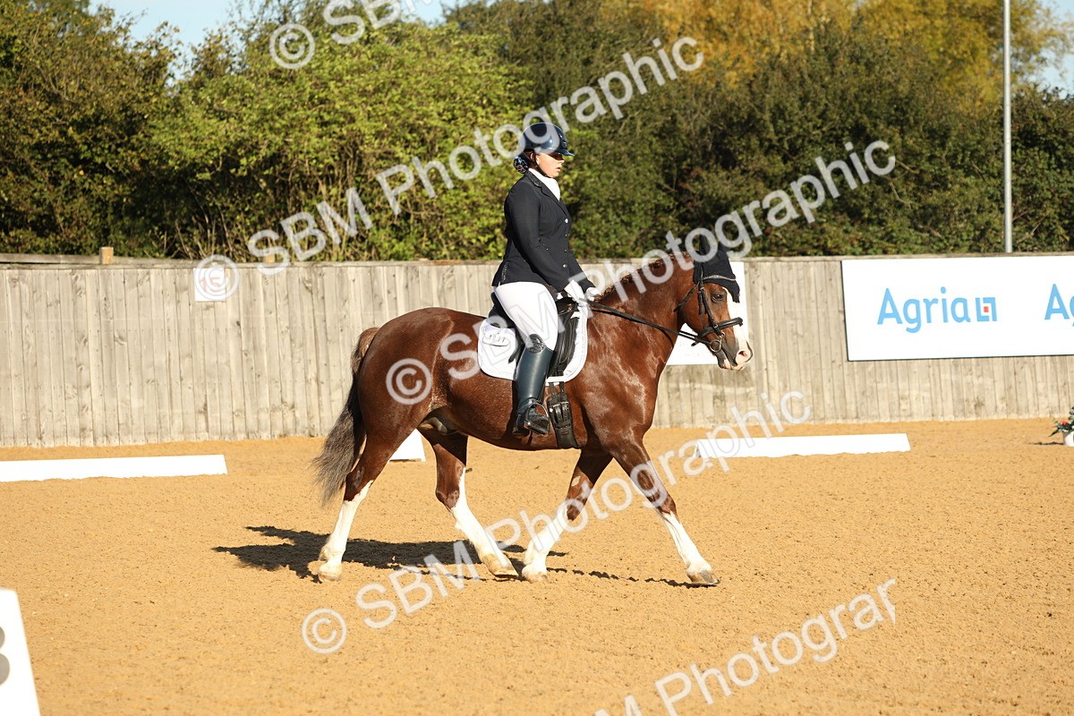 SBM_14184 - D10 - Small Tour Championship - Prelim 2