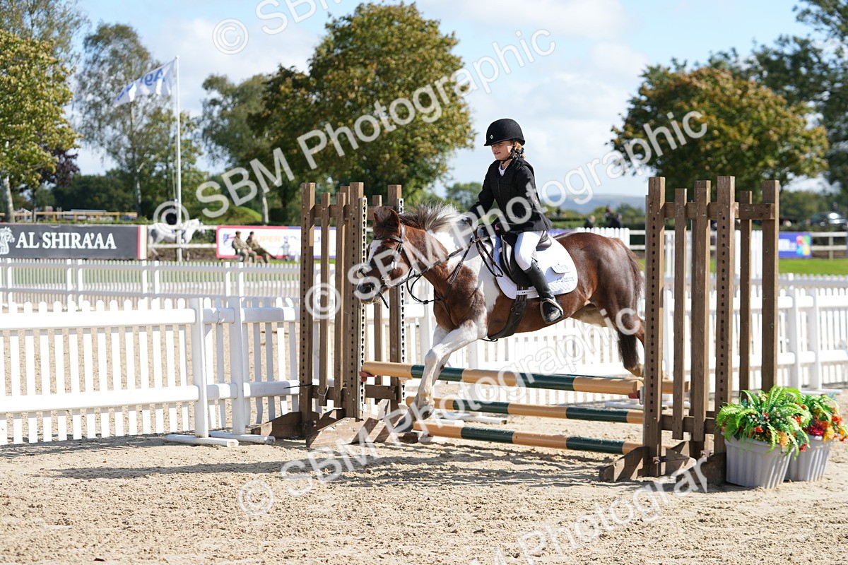 SBM_46571 - J7 - Junior Pony 60cm Championship