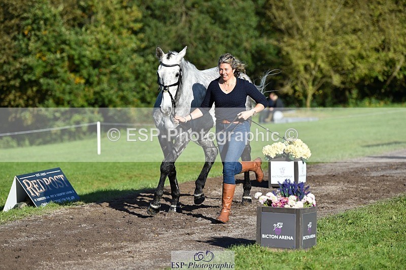 231022-104022-22652 - 445-CRUISING.BORO-Lucy.Knight-TrotUp+SJ