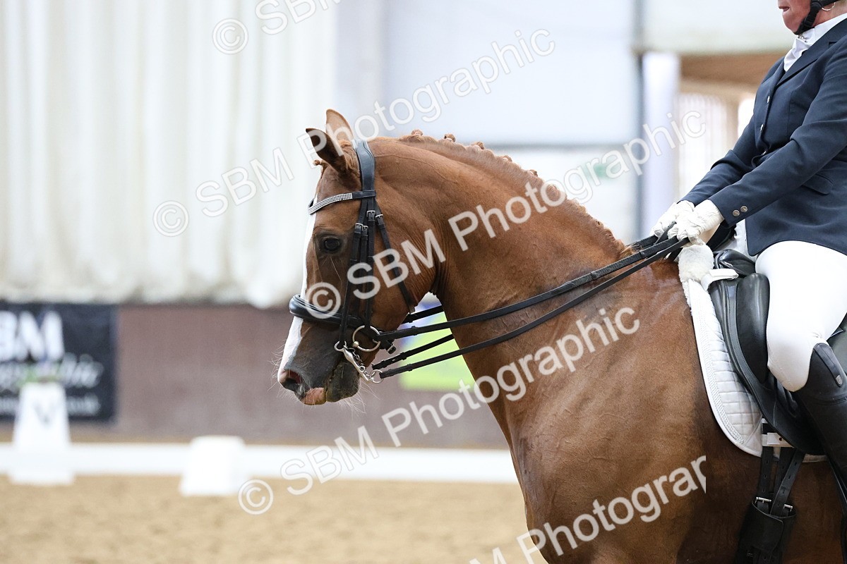 SBM_007520 - Class 23 - Medium FSM Bronze