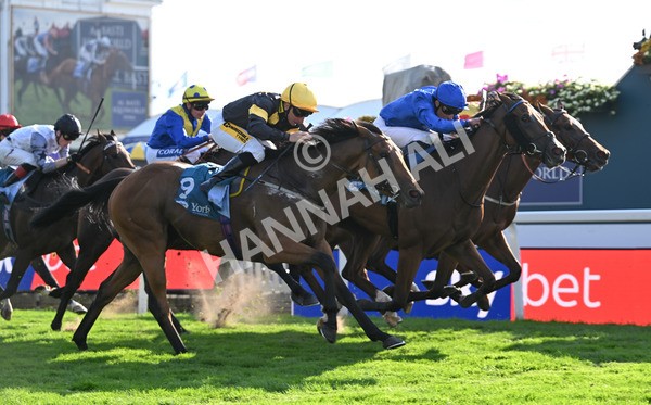 220825-278 Fifth Column - Race 7 5.20pm Sky Bet Mile Handicap