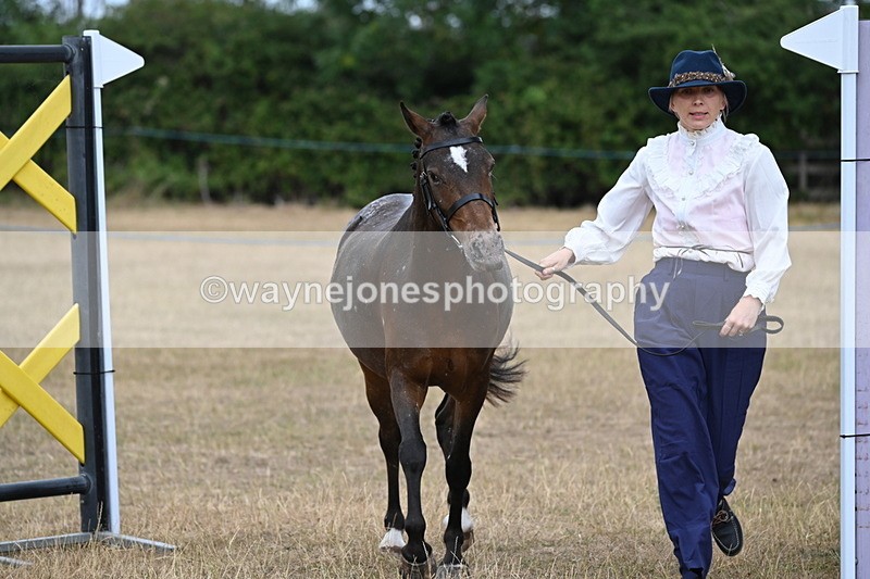 WJ6_8064 - Class 10 Coloured in Hand