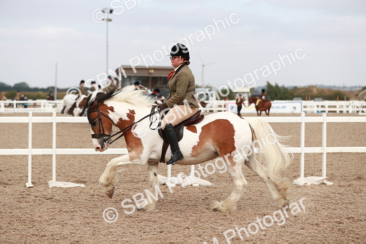 SBM_16698 - Class 214 Ridden Cob