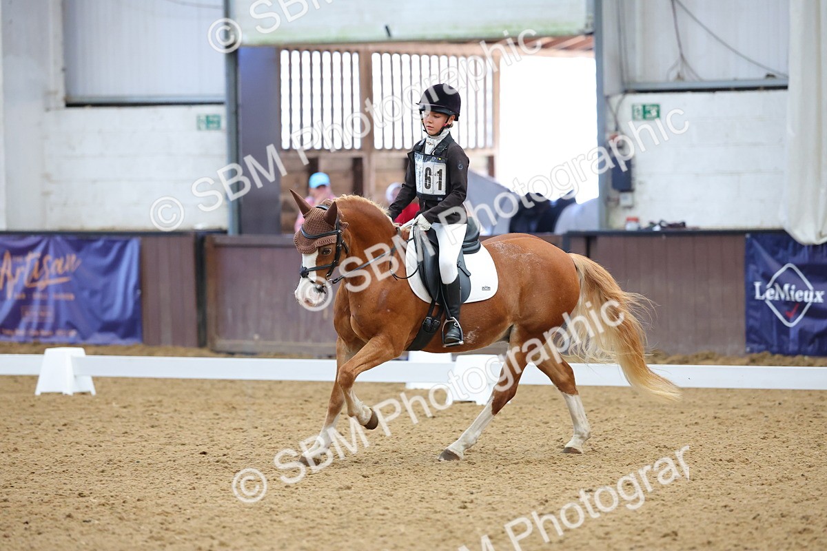 SBM_002961 - Novice