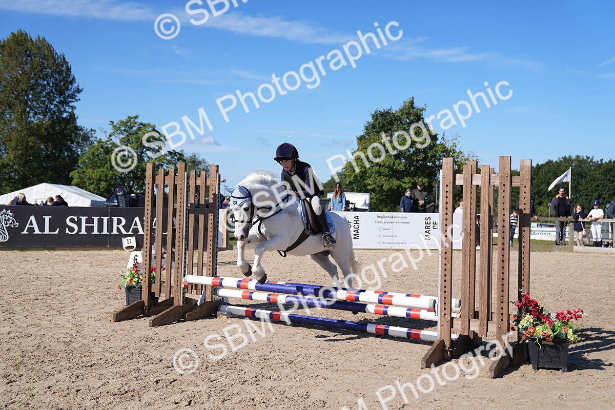 SBM_19389 - J57 - Clear Round 50cm