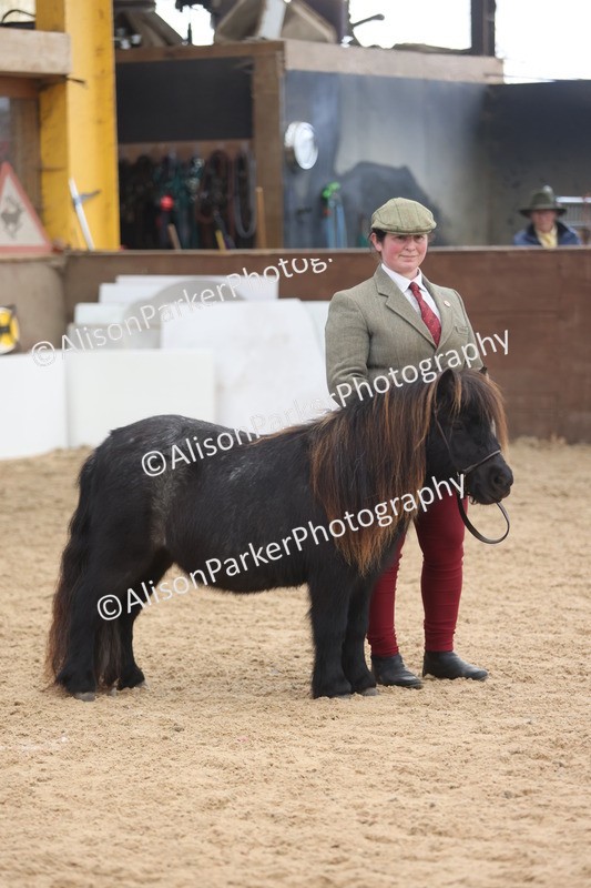 20251109-0236 - Class 11 - 2 and 3 Year Old