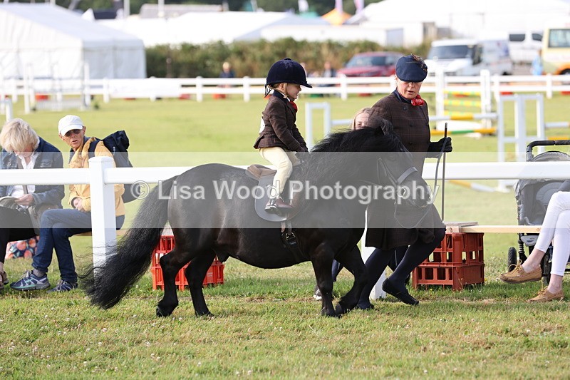 JPP_0284 - Class 14: Cornish Combination Leading Rein