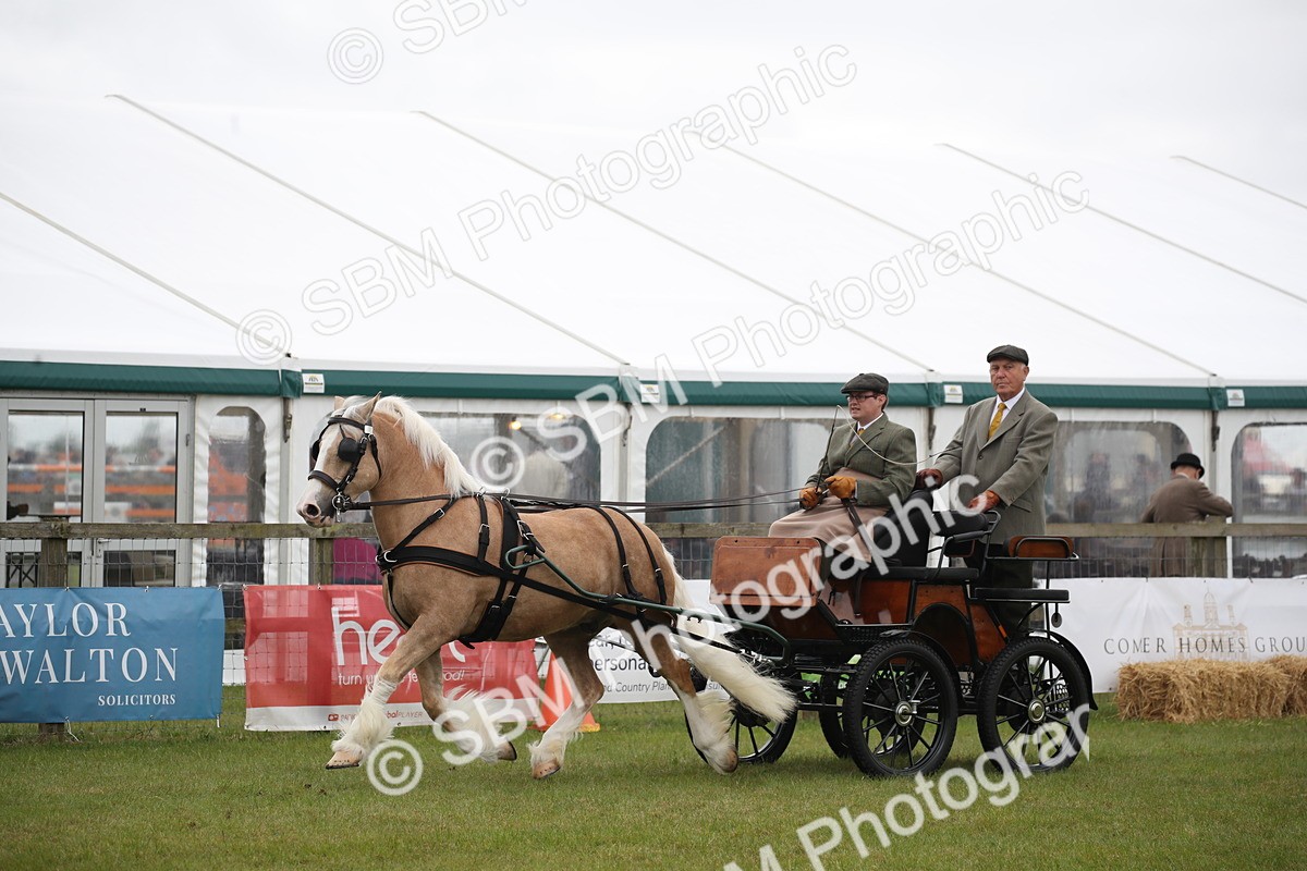 SBM_05652 - Class 12-15 - HOYS Private Driving