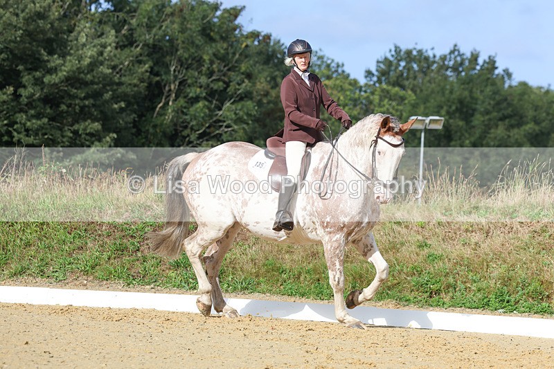 3E7A2383 - Class 1: Intro 4 2024 section A