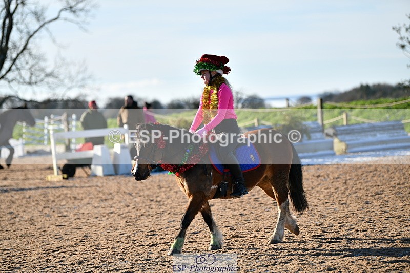 231202A-122109-01009 - Cls 02 50cm