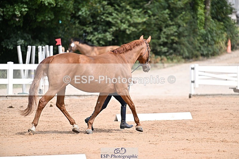 250716-132107-00453 - Trot Up 12.30 to 1.30