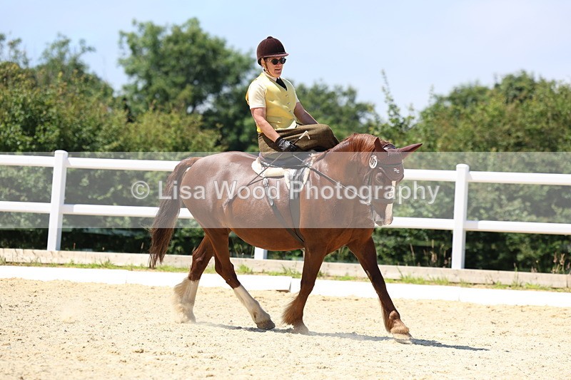 3E7A0915 - Class 3: Unaffiliated Prelim 3 2024 Section A
