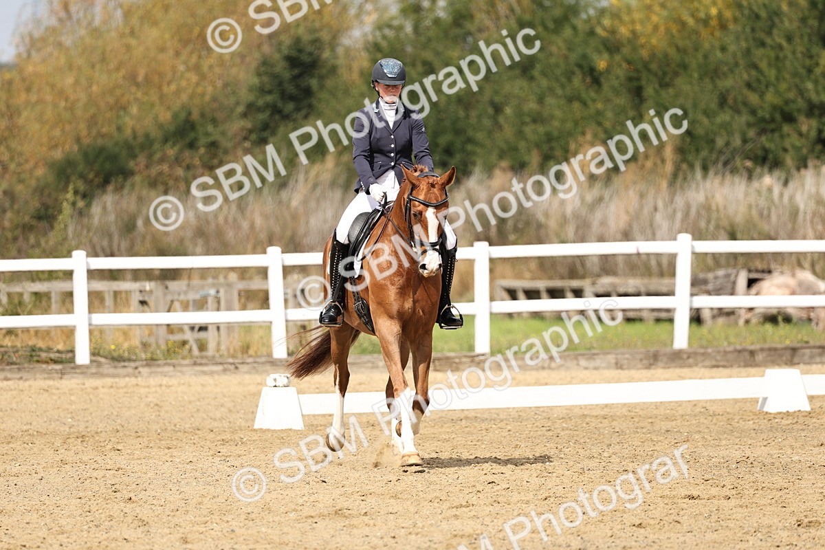 SBM_018316 - Class 16 - Novice 5 - 11.12-12.01