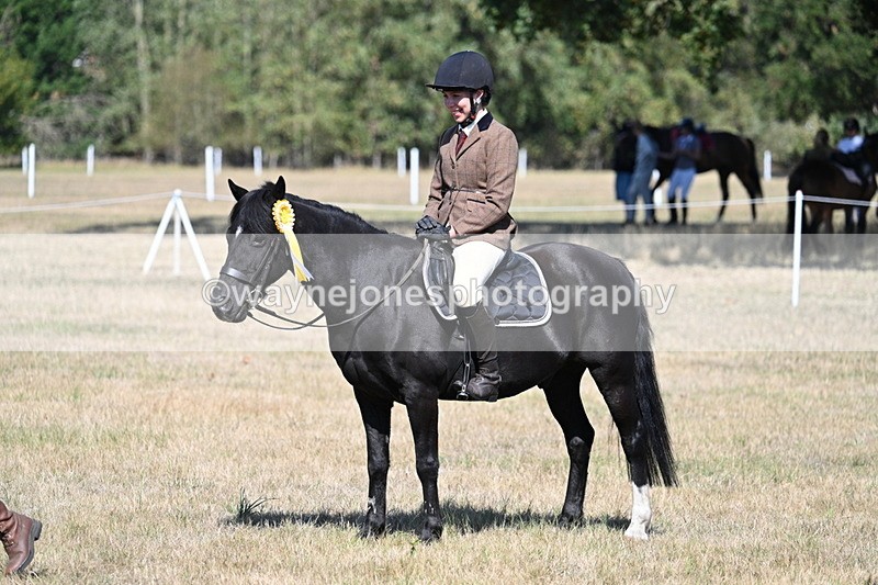 WJ7_4160 - Class 9 Mountain & Moorland Ridden