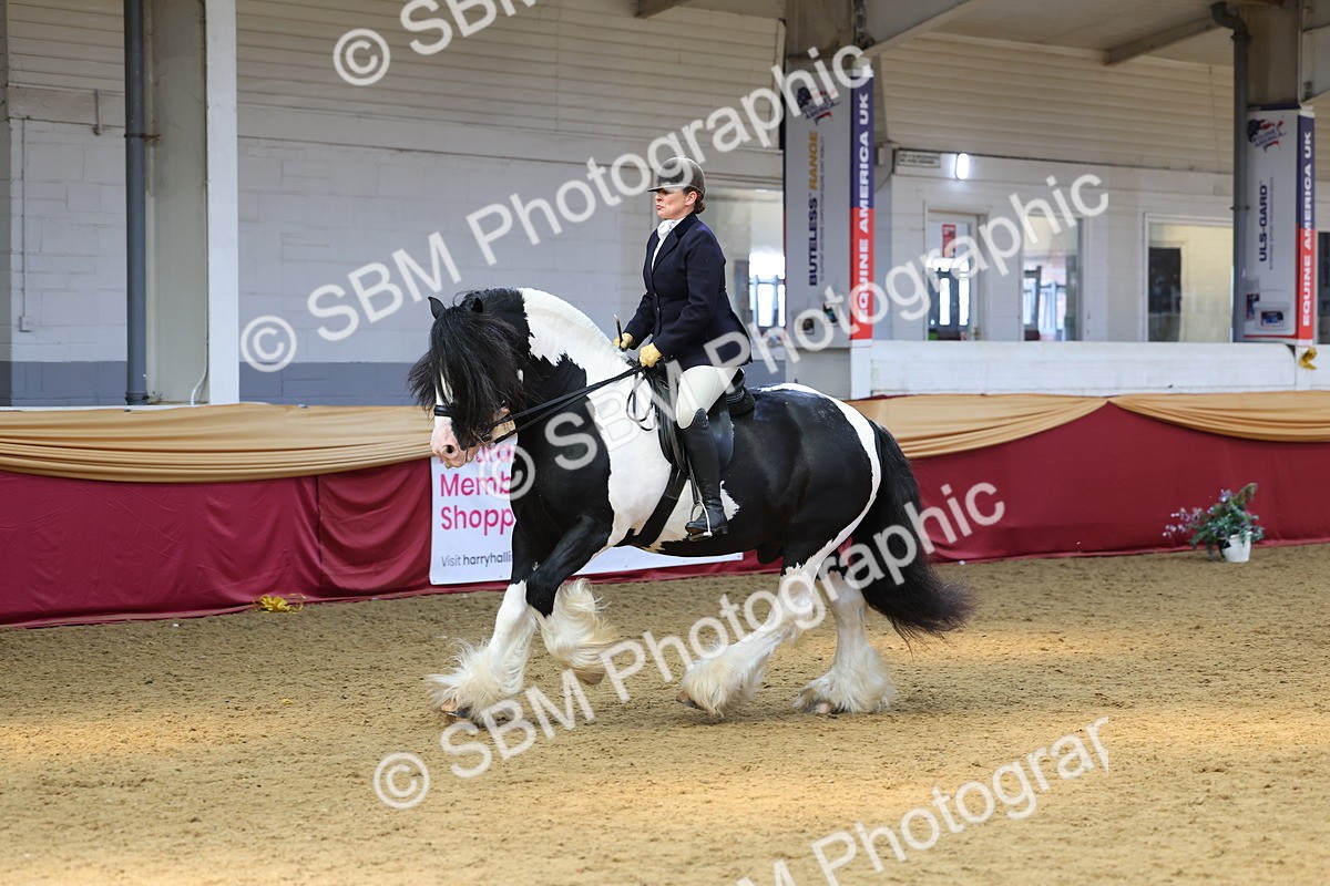 SBM_24114 - Class 905 - Supreme Final - Ridden Veteran