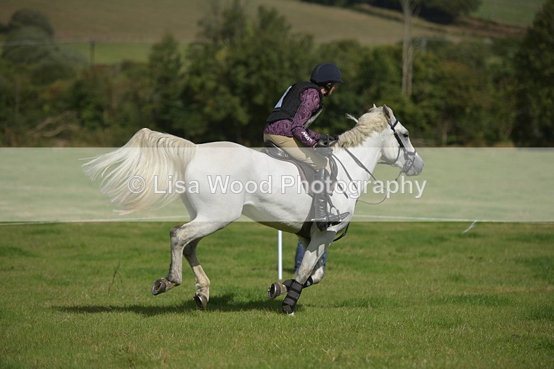 RAY_8618 - Class 2: Trekenning Open: Wall