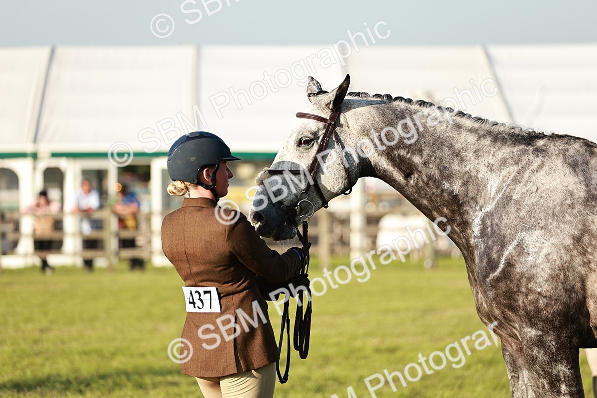 SBM_20509 - Class 117-119 - Sport Horse Working Hunter