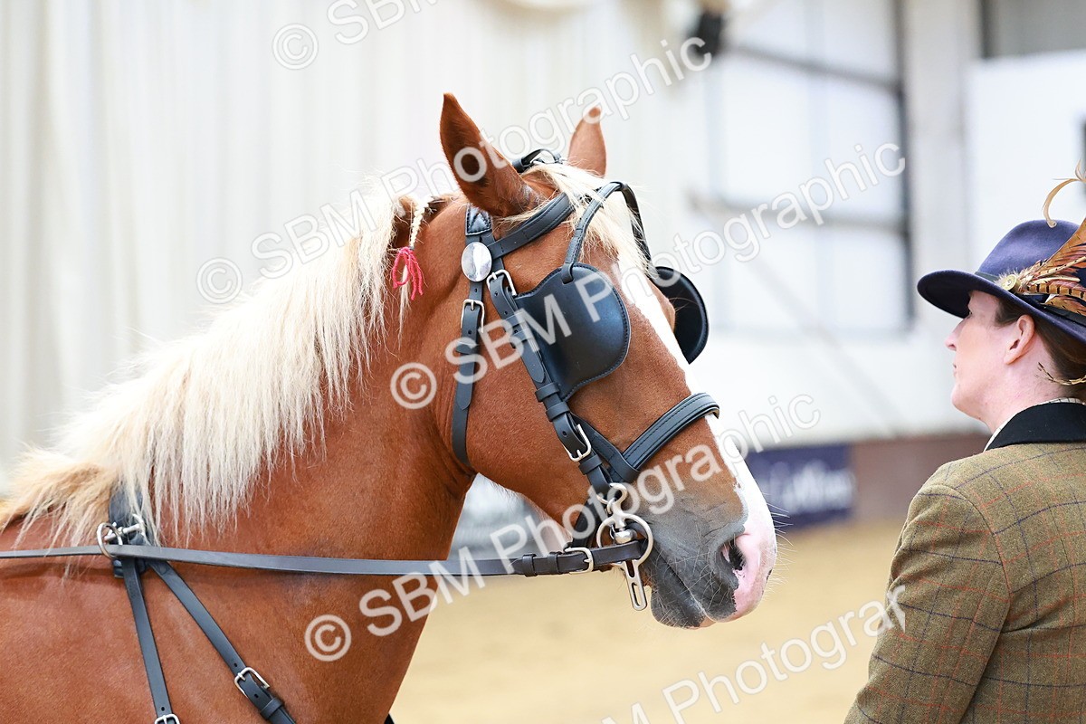 SBM_000653 - Class 11 - Peter Howell Memorial Gentlemen Whip