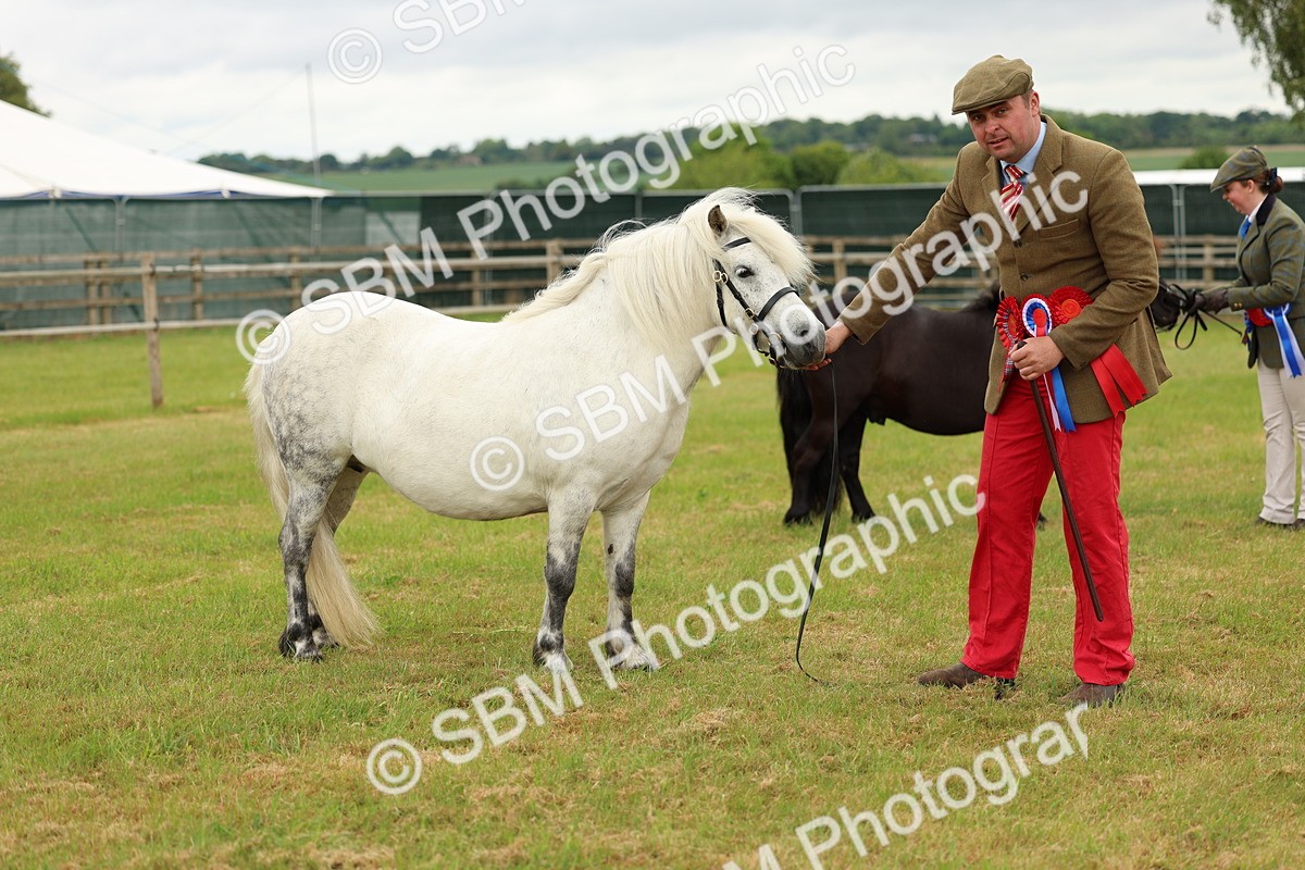 SBM_03528 - Class 58-67 - M&M Non Welsh Pony In hand